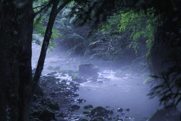 円原川の伏流水／岐阜県