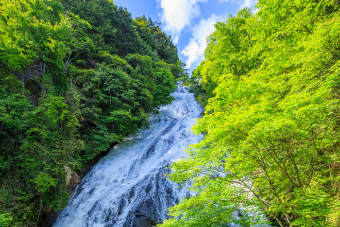 湯滝（日光）／栃木県