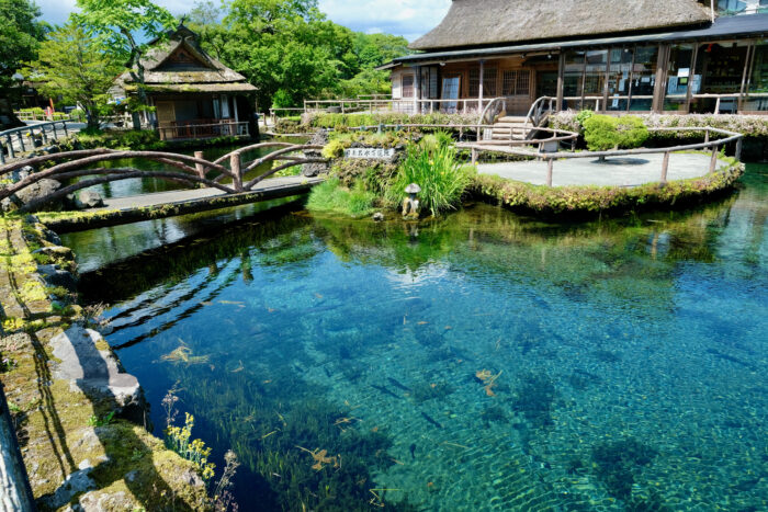 忍野八海/山梨県