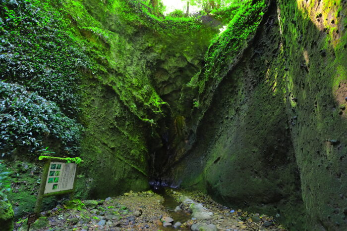 伊尾木洞／高知県