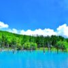白金の青い池／北海道