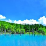 白金の青い池／北海道