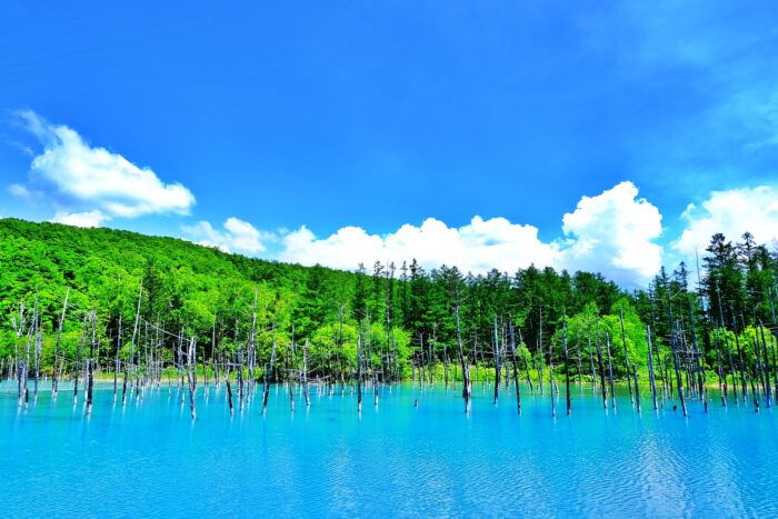 白金の青い池/北海道